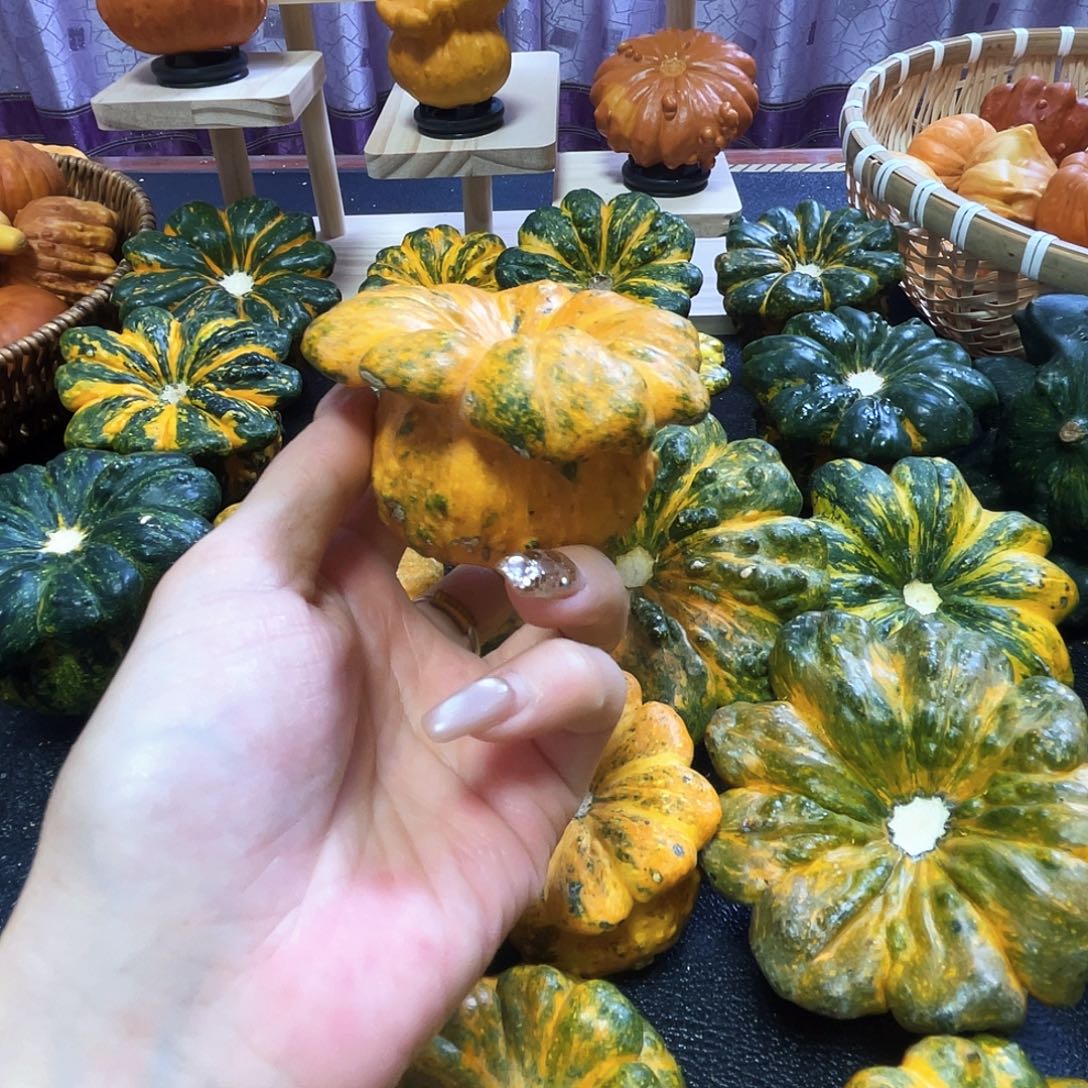 佳***蔓墨西哥哈哈哈哈哈哈哈哈