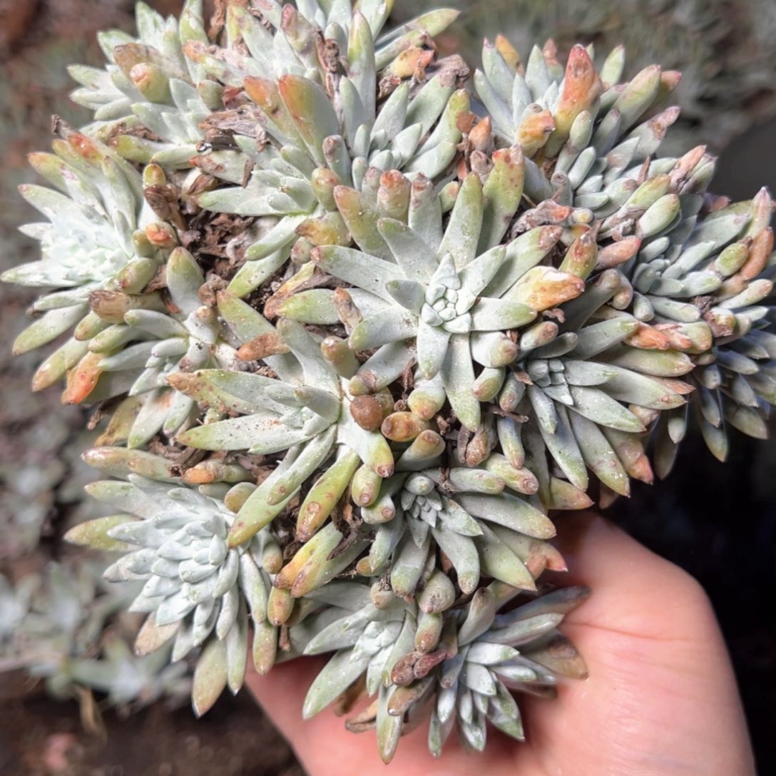 5438哈哈哈哈哈哈哈