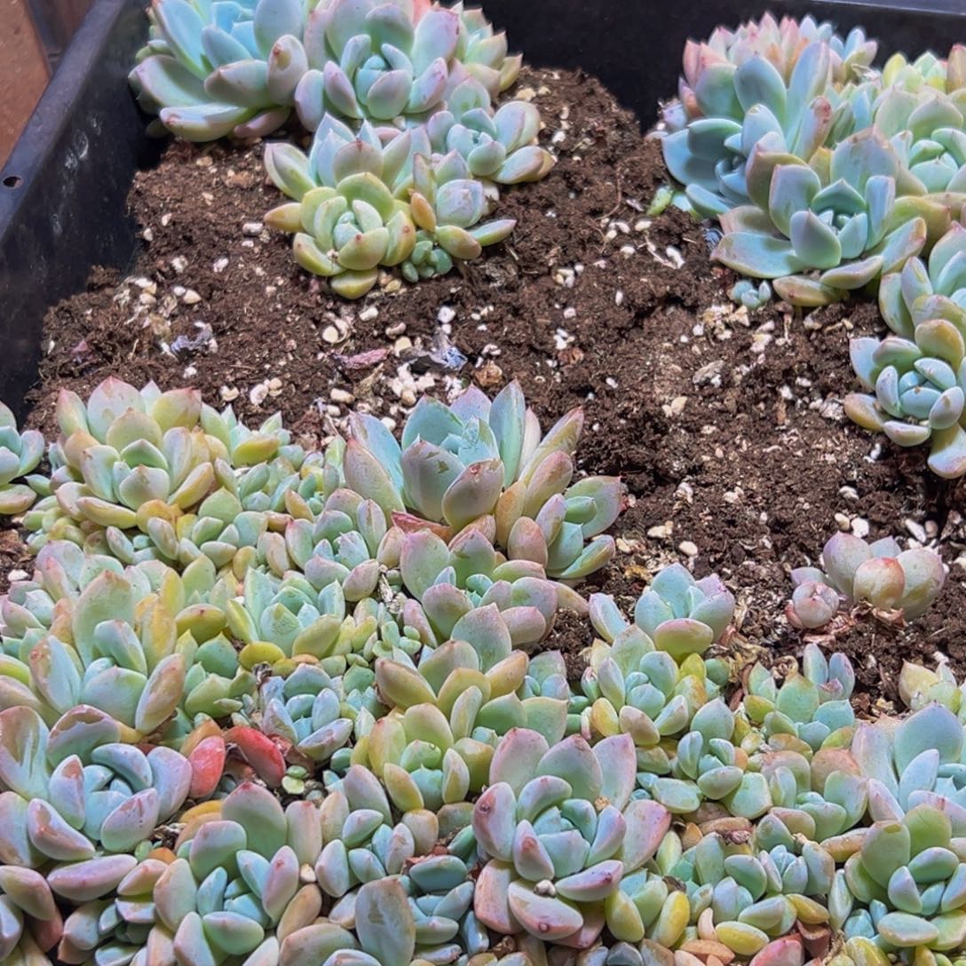 118的人了还在看电视吗我