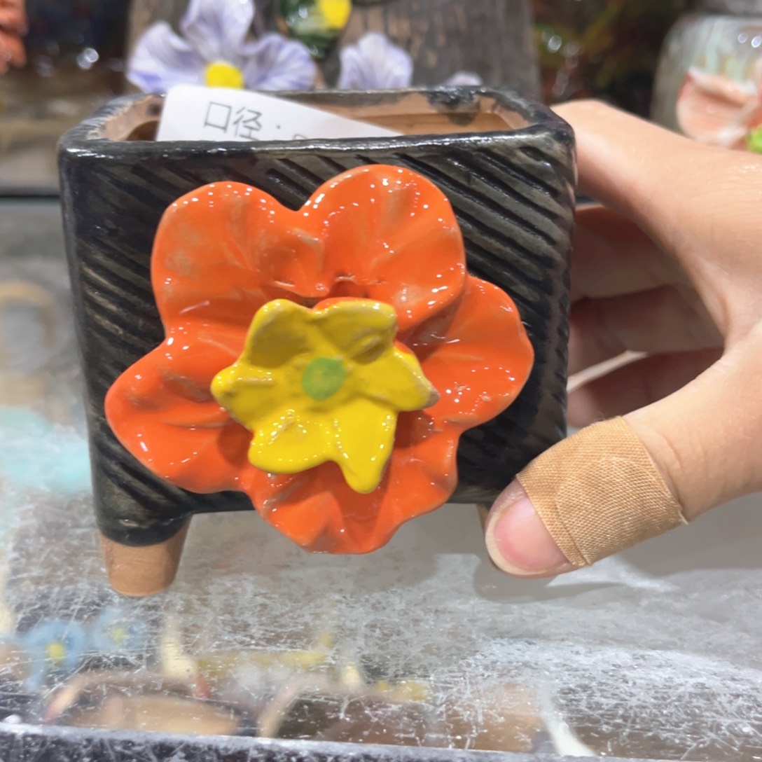 红陶福利福利福利福利