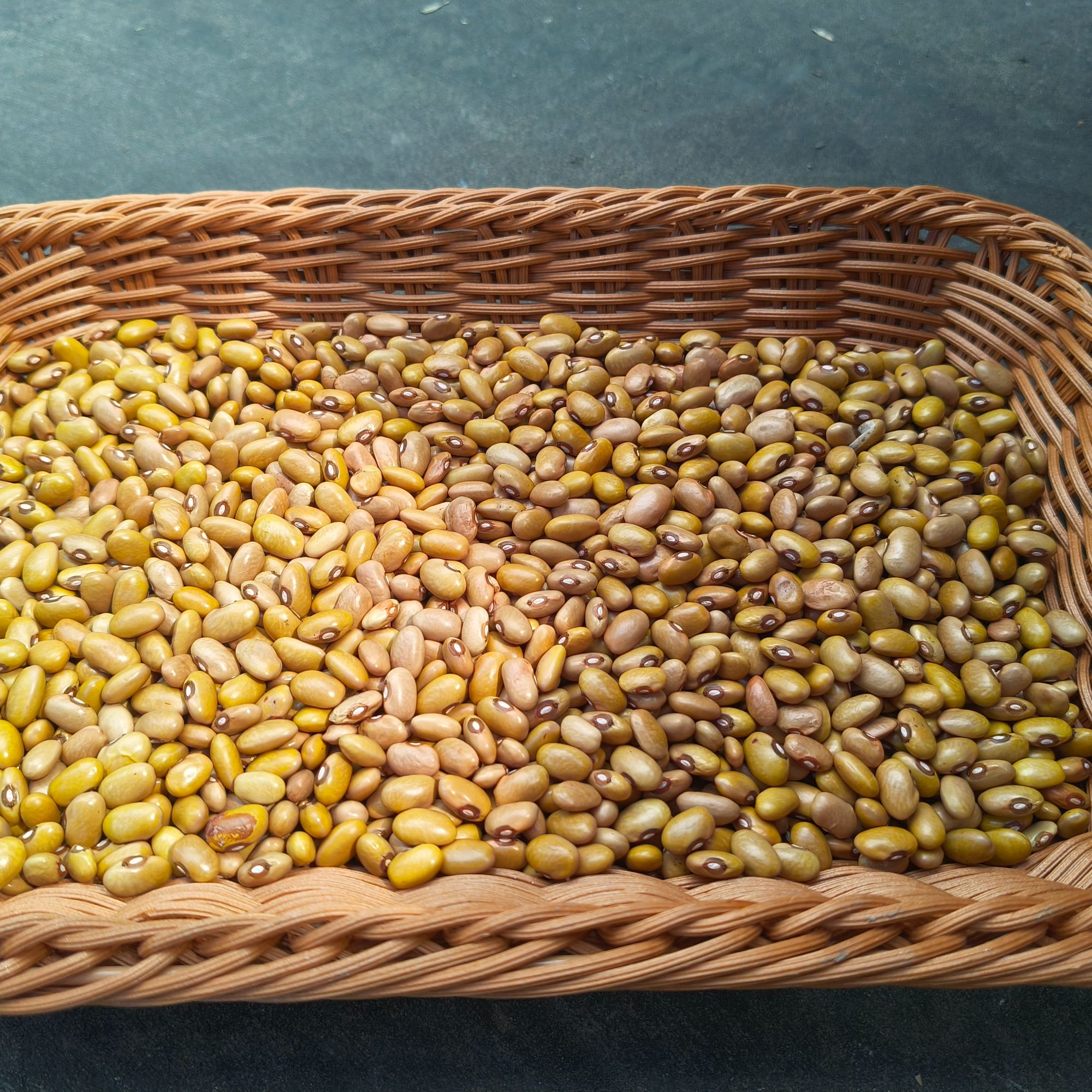 四季豆米2斤 农户家自己种的四季豆剥的米米