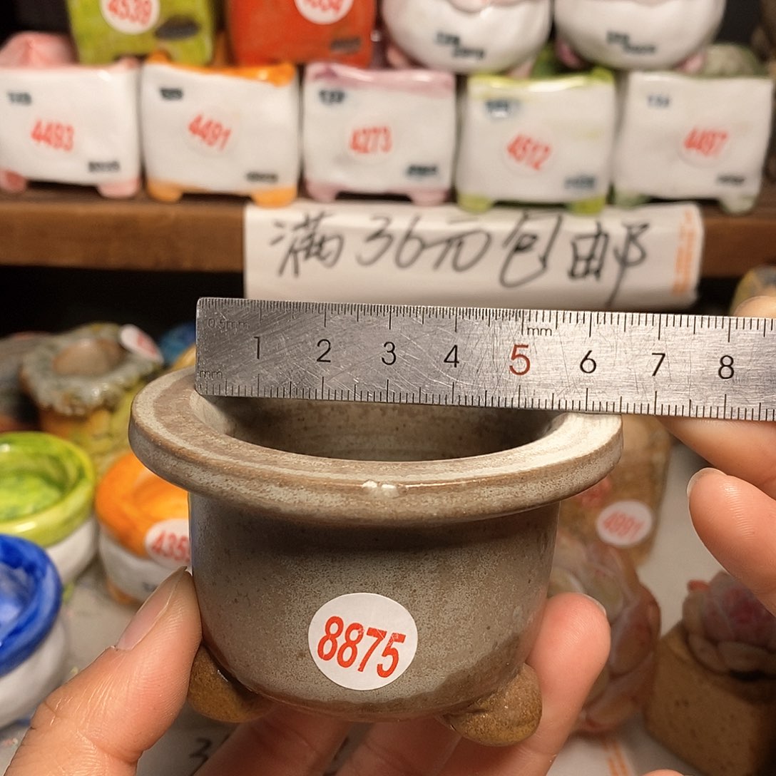 红陶拍5送一个小