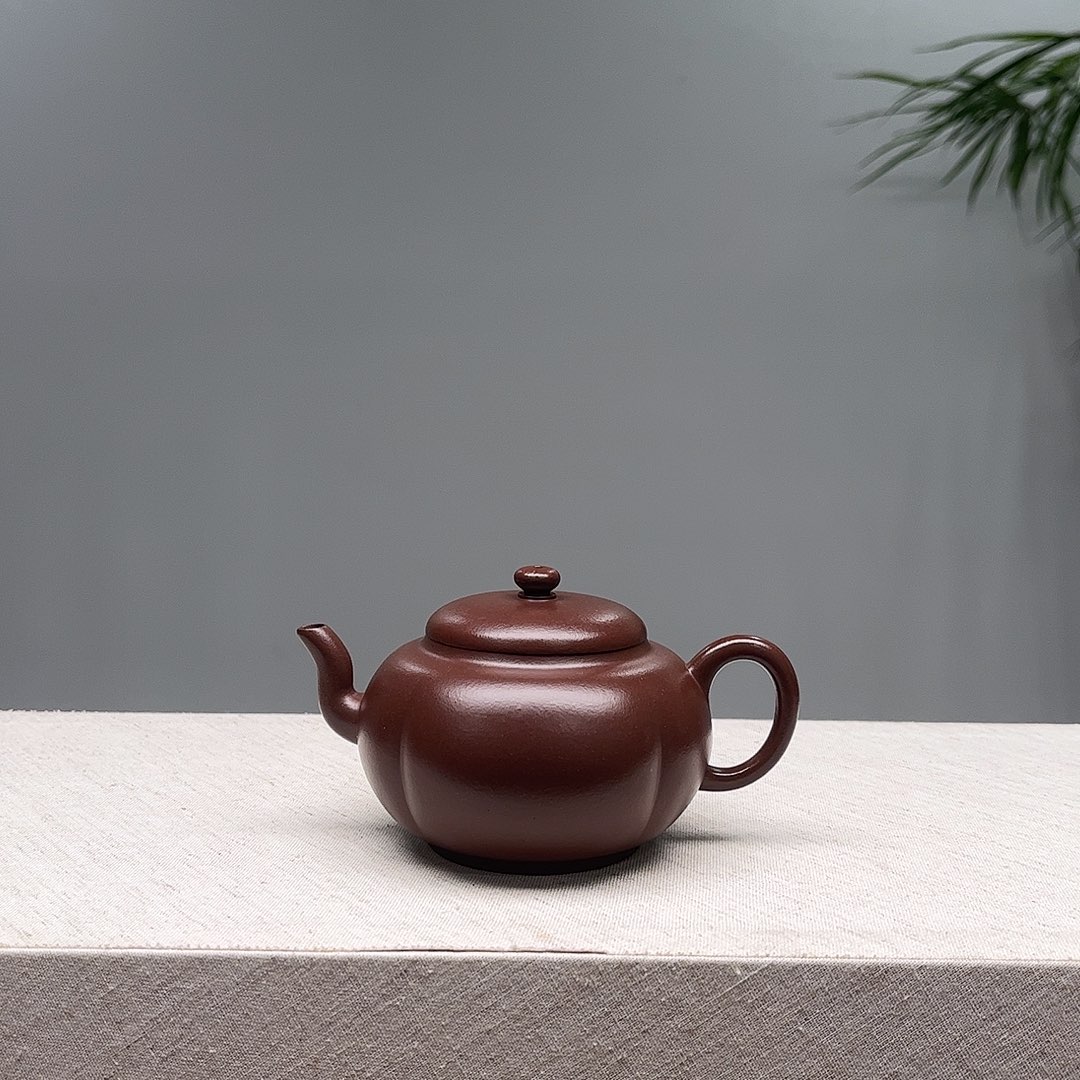 披***喵茶宠紫砂续集看看好尴尬