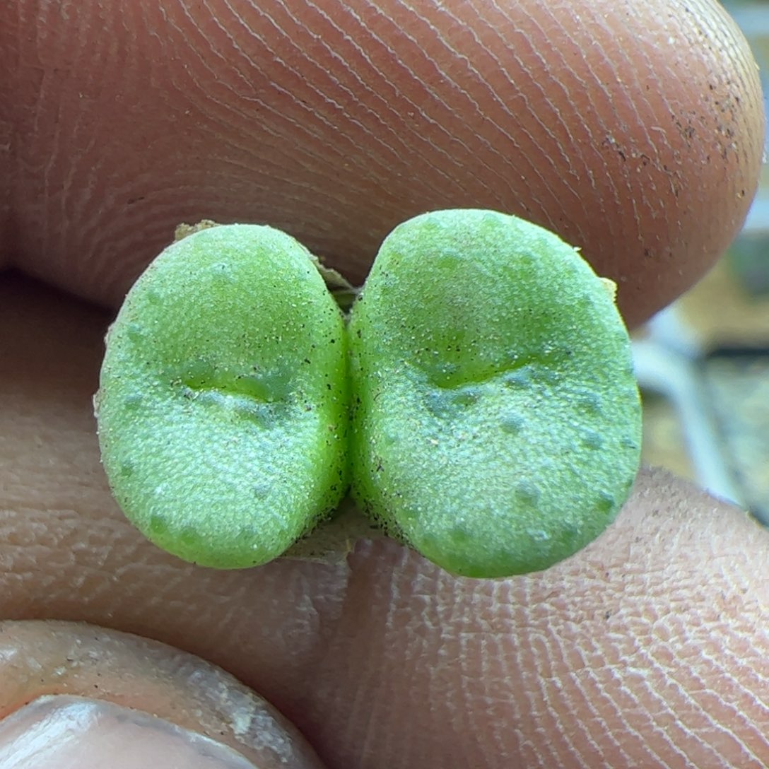 大家过年好23025