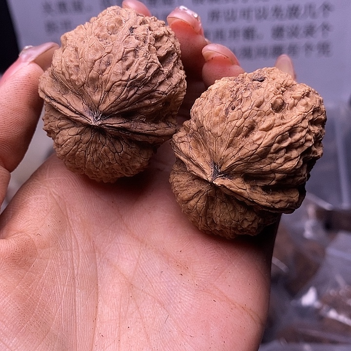 核桃云南野生铁核桃222号45mm