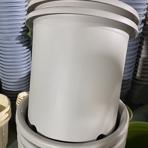 树脂特价8号5个无托灰白