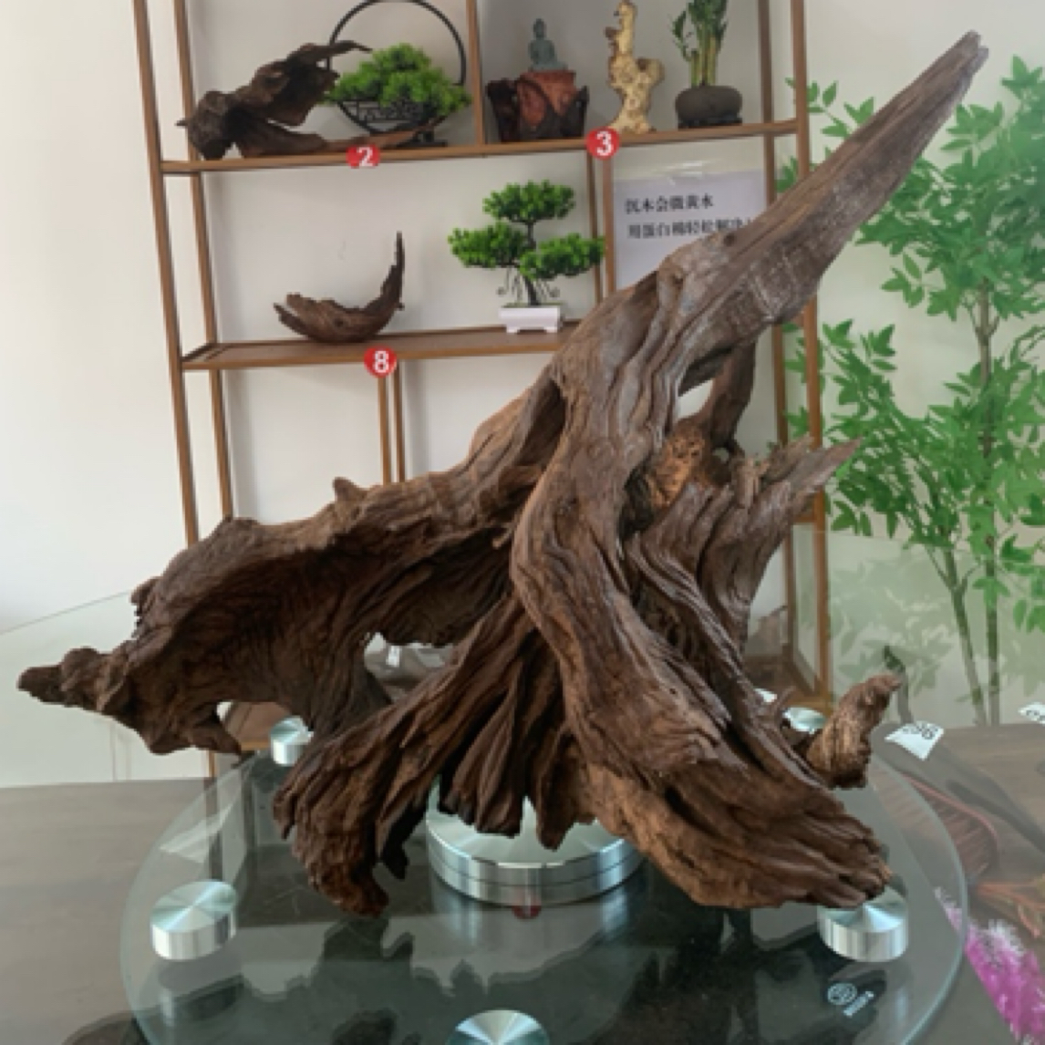 云南本地紫柚木鱼缸造景