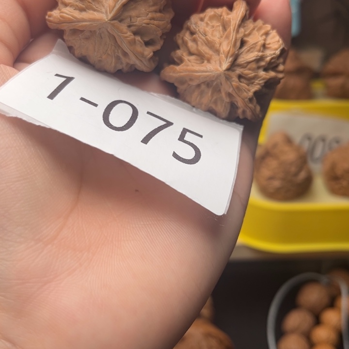 把件文玩核桃37全品三楞1075