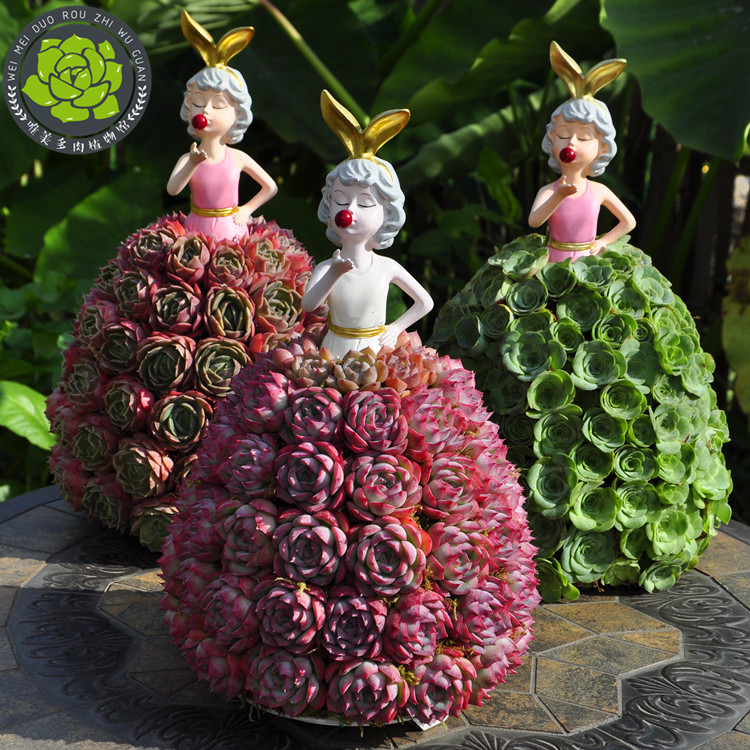 唯美多肉园艺铁艺公主花架栽好多肉植物成品专属链接（定制款）