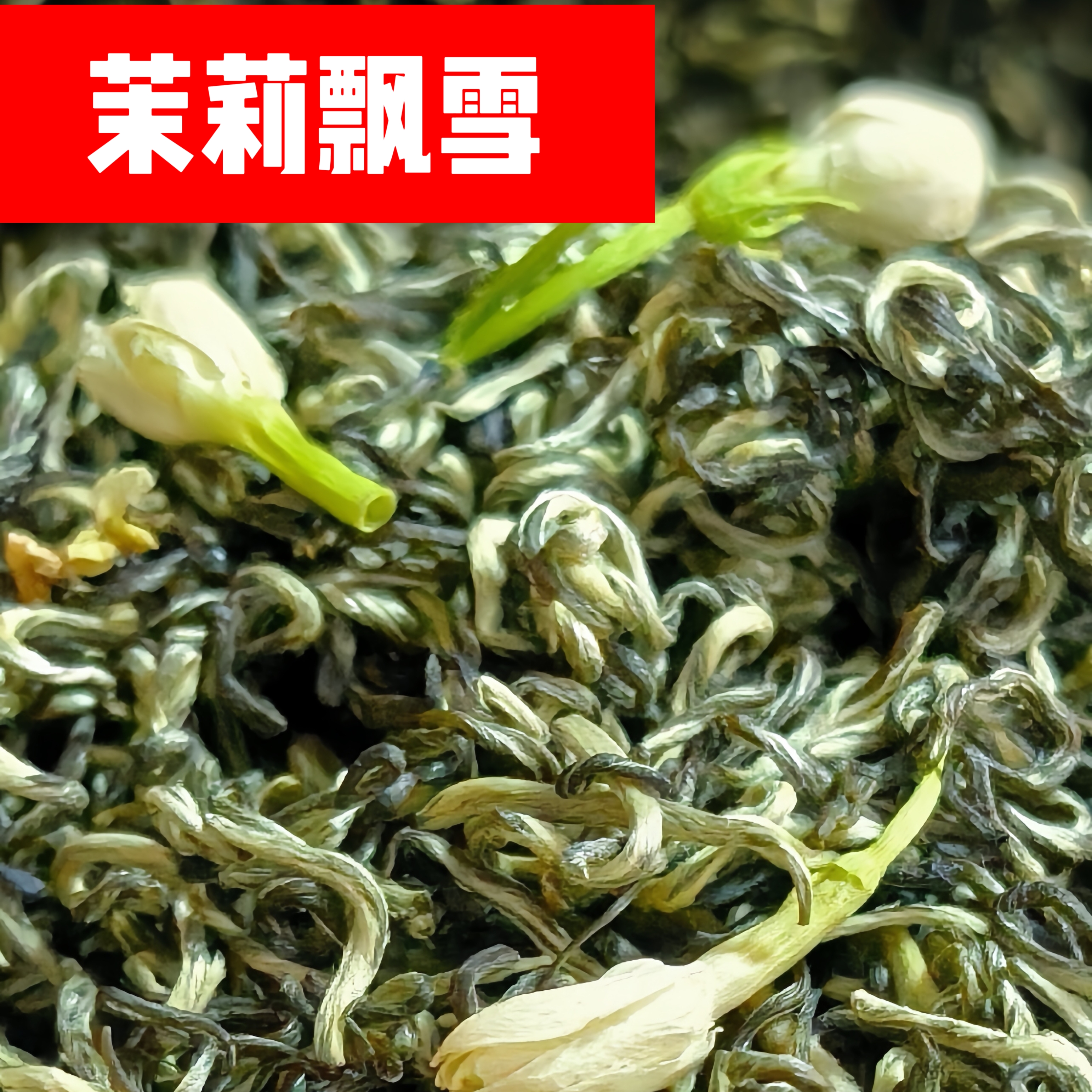 正宗茉莉花茶茉莉飘雪浓香型特级茉莉飘雪新茶2025广西横县散装
