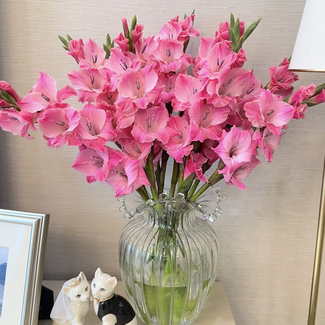 【杨鹏鲜花】皇家玫瑰 剑兰 云南鲜花包邮（生花苞发货）