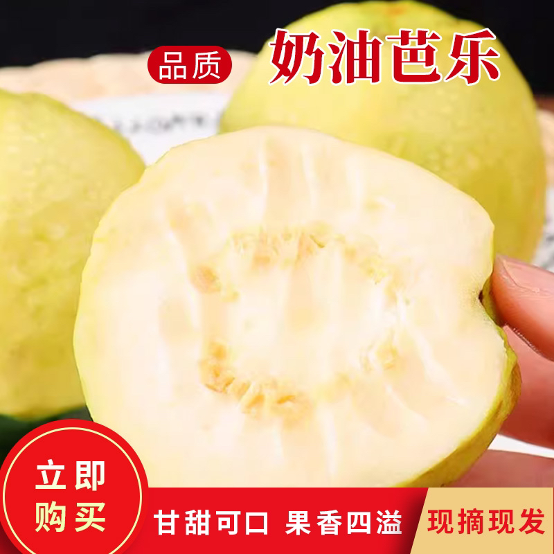 软糯白心芭乐番石榴低糖低卡低脂（顺丰）