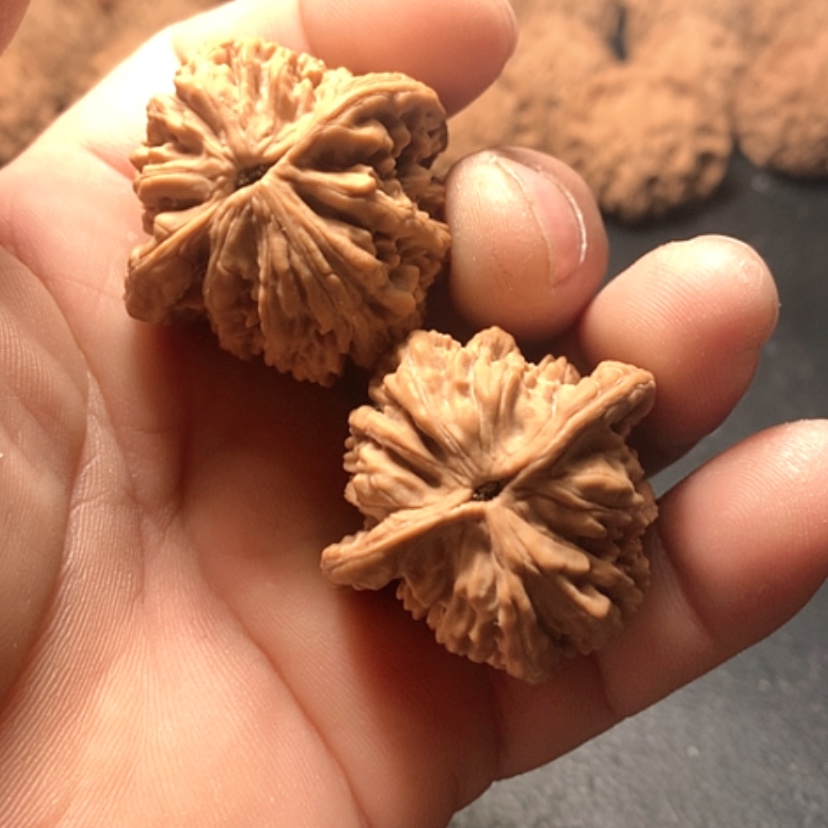 【闪购商品】Z*R虎头