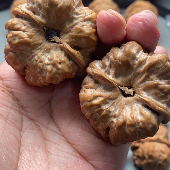 桃核把件了*昂蛤蟆头