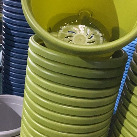 树脂四季4号果绿无托8个