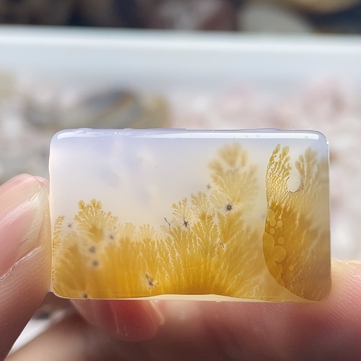 玛瑙/玉髓合金颈饰