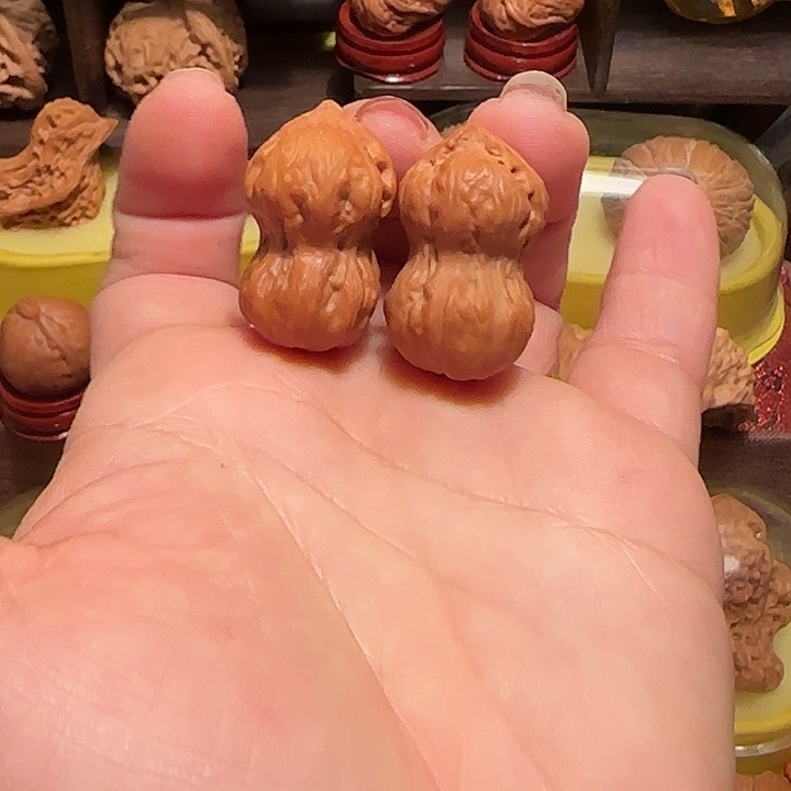 植***版核桃核桃……核桃……核桃