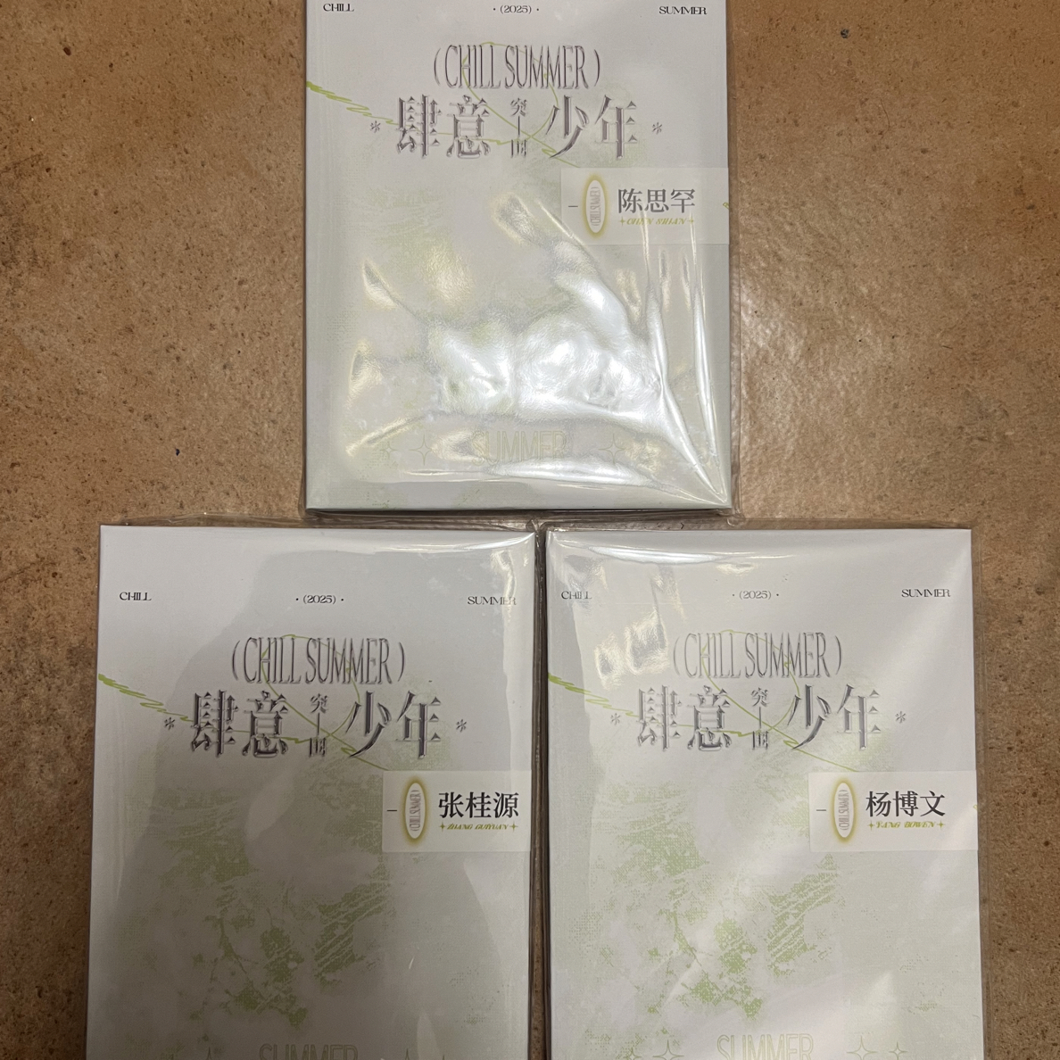 肆意少年突围卡包拼车（高会版，需接受官方出厂瑕，包邮非偏远）