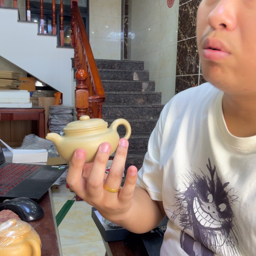 茶壶紫砂瑕疵手工泥大木门绿泥 半手工