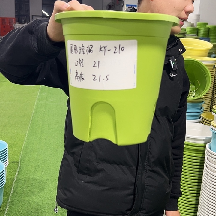 正品圆控口21高21果绿色8只无托