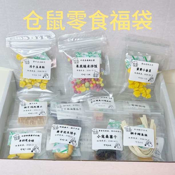 仓鼠零食对对碰｜金丝熊侏儒鼠花枝鼠躺手磨牙长肉