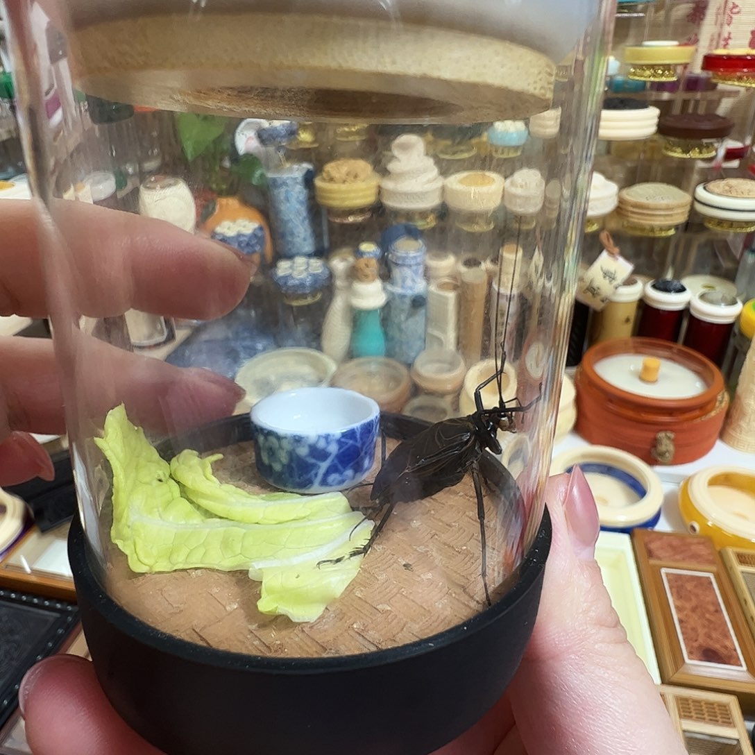 生态罐➕麒麟一只一个