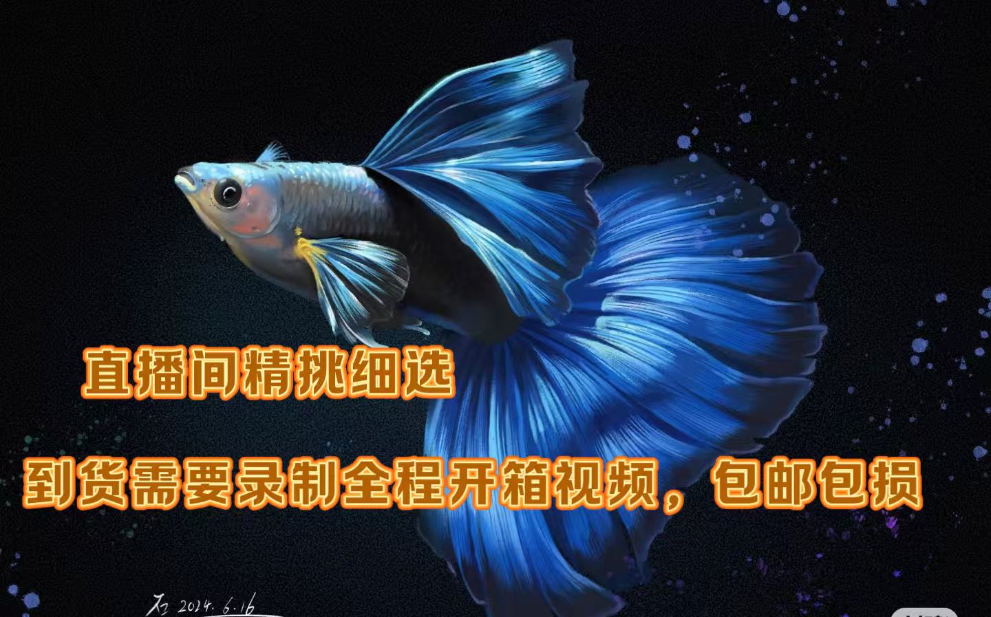 孔雀鱼精挑单选链接、快递显示签收两小时内定损，需录制开箱视频