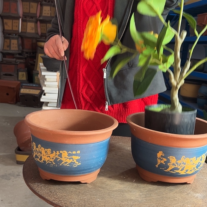 20+20蓝八骏图花盆花盆