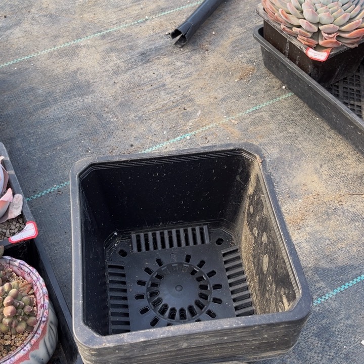 呆*椰砖三块一份