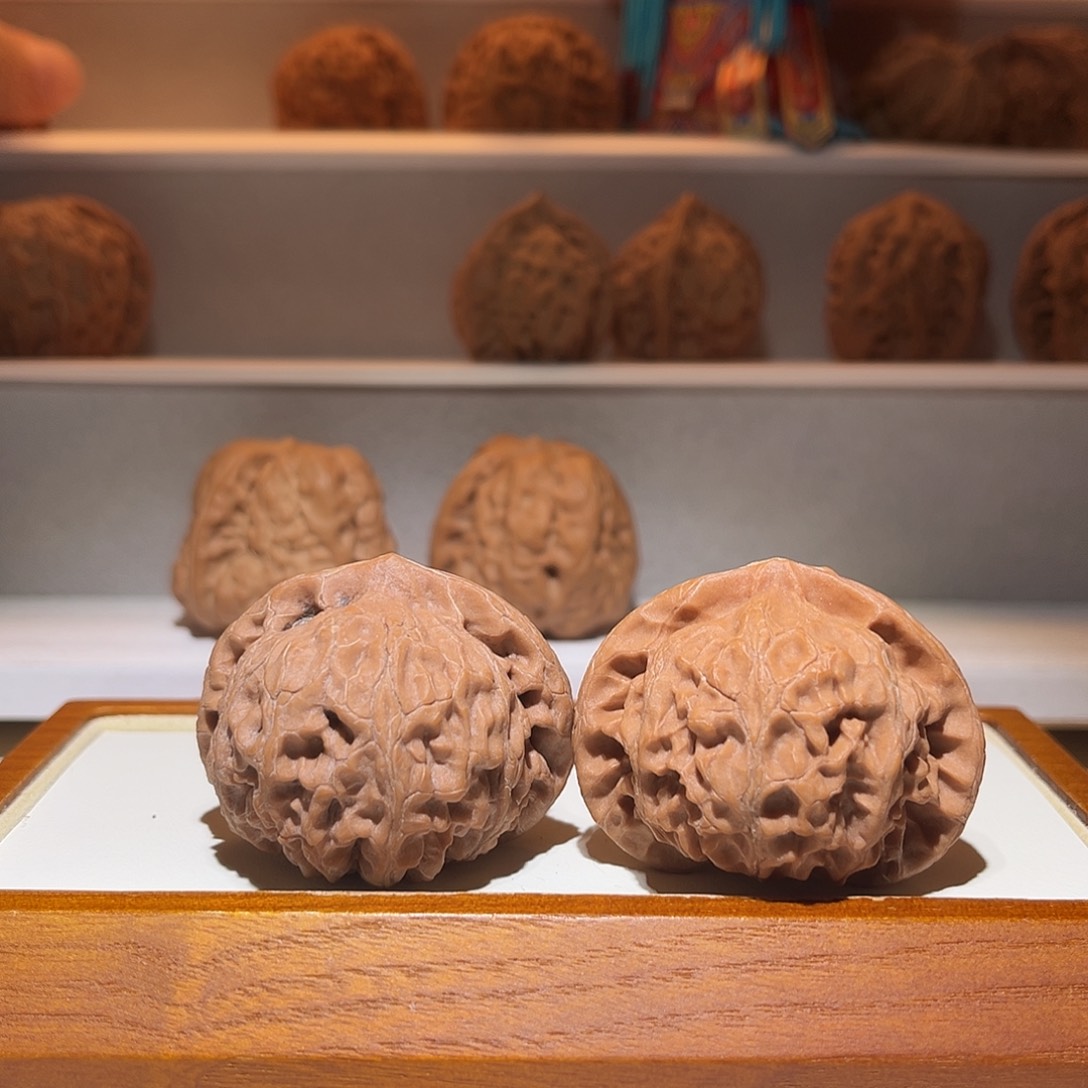 43肉球款宫灯……骨质好