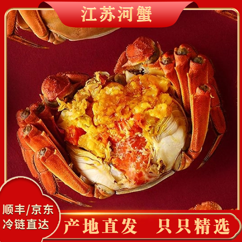 【全母活蟹】到手12只全母蟹单只1.7-1.4两顺丰冷链江苏河蟹活蟹