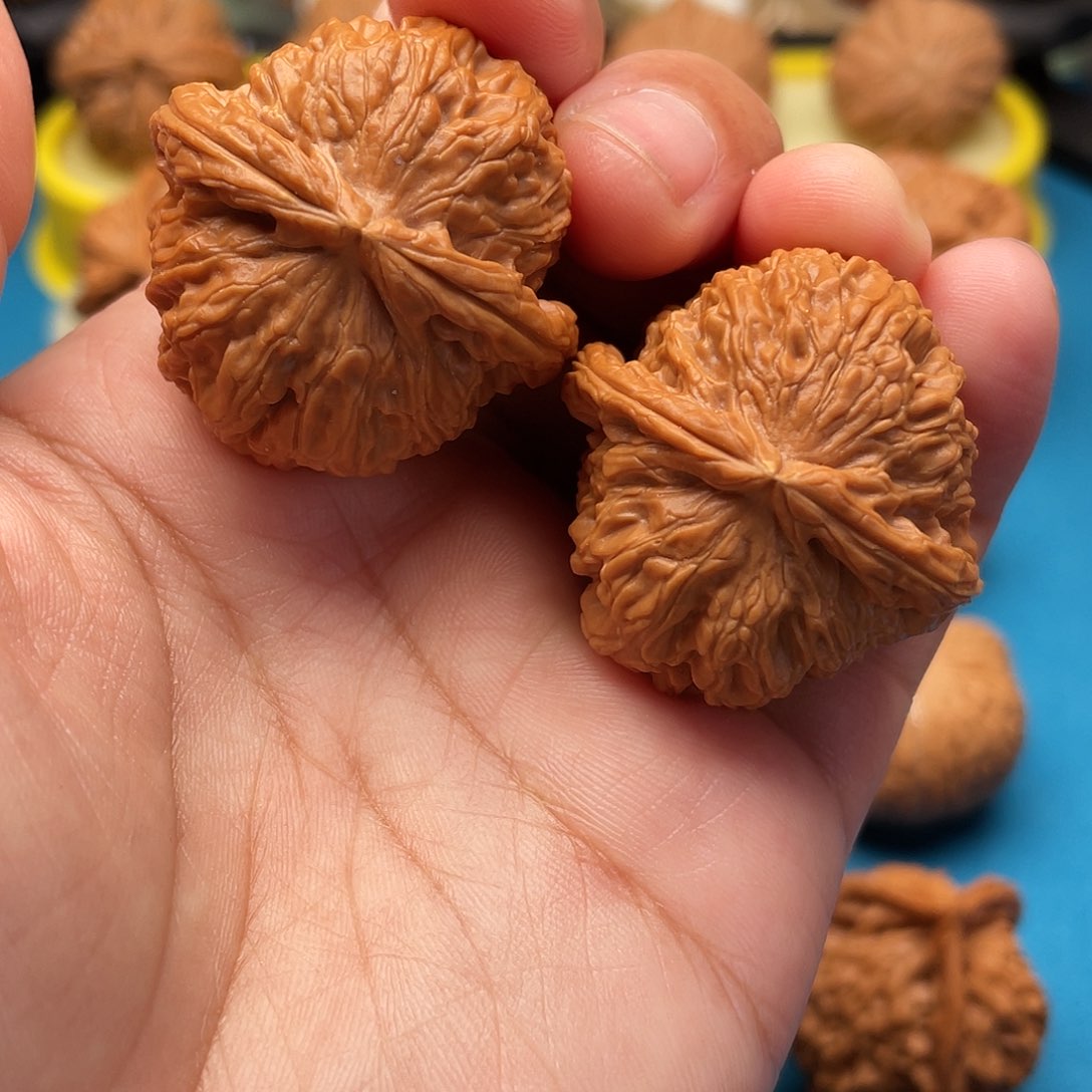 文玩核桃把件白狮35