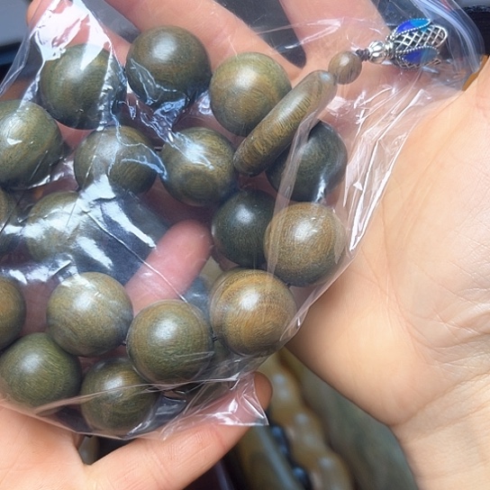 木绿檀手持一条豆豆