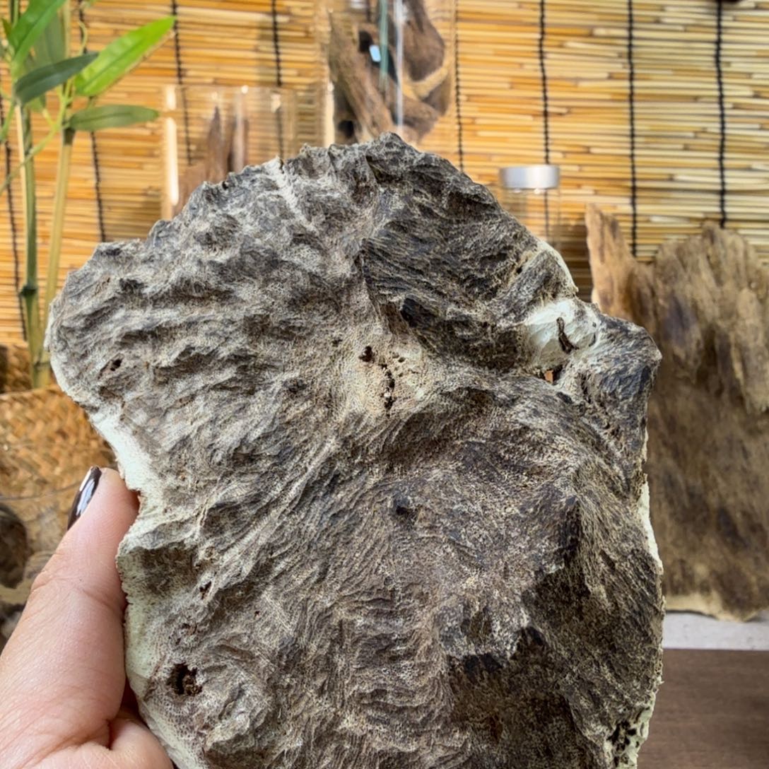 沉香沉香碎屑沉香铁头32g
