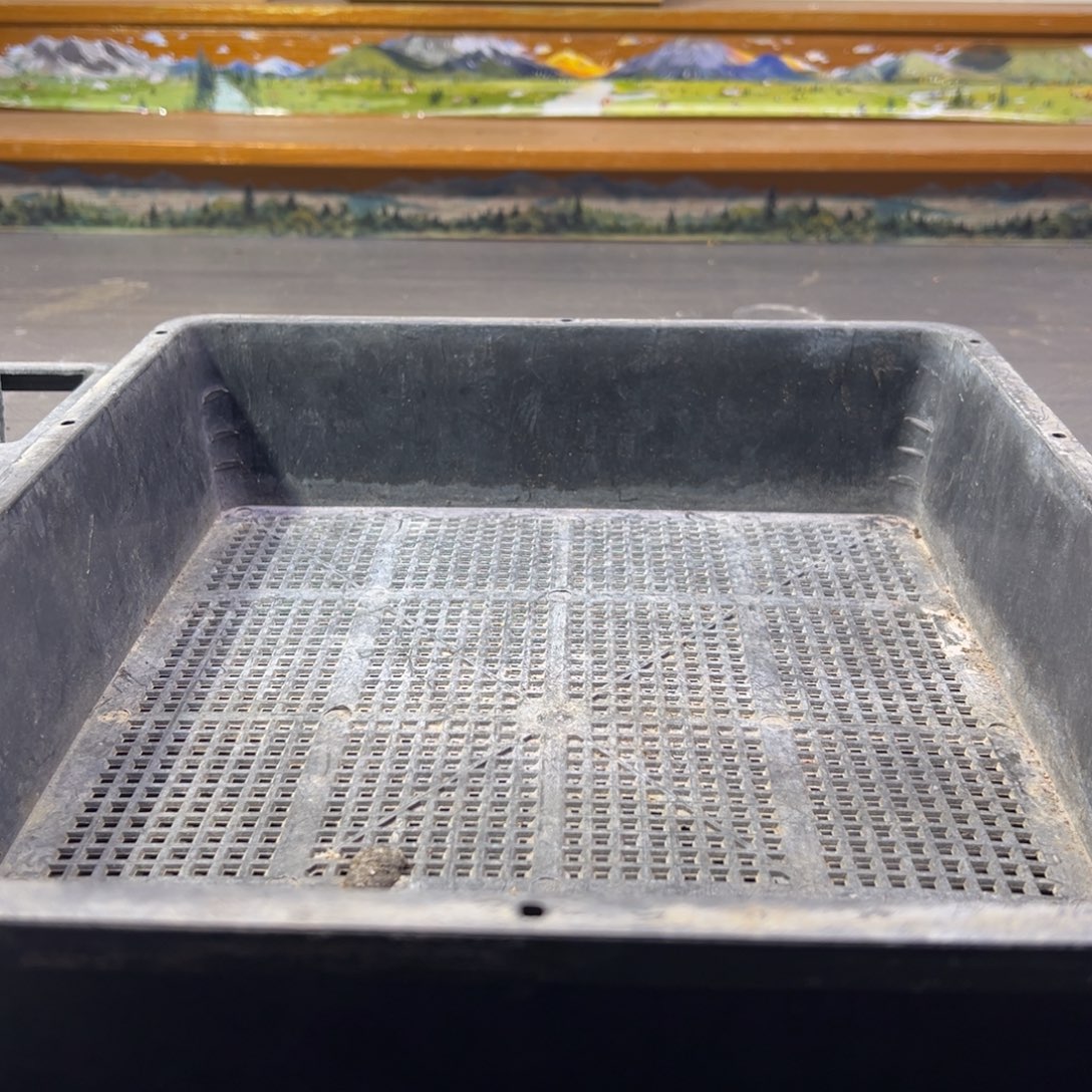 哈***嘎枝干番杏多肉植物补发