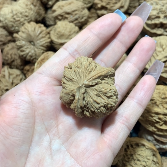 随**—天然小角一个