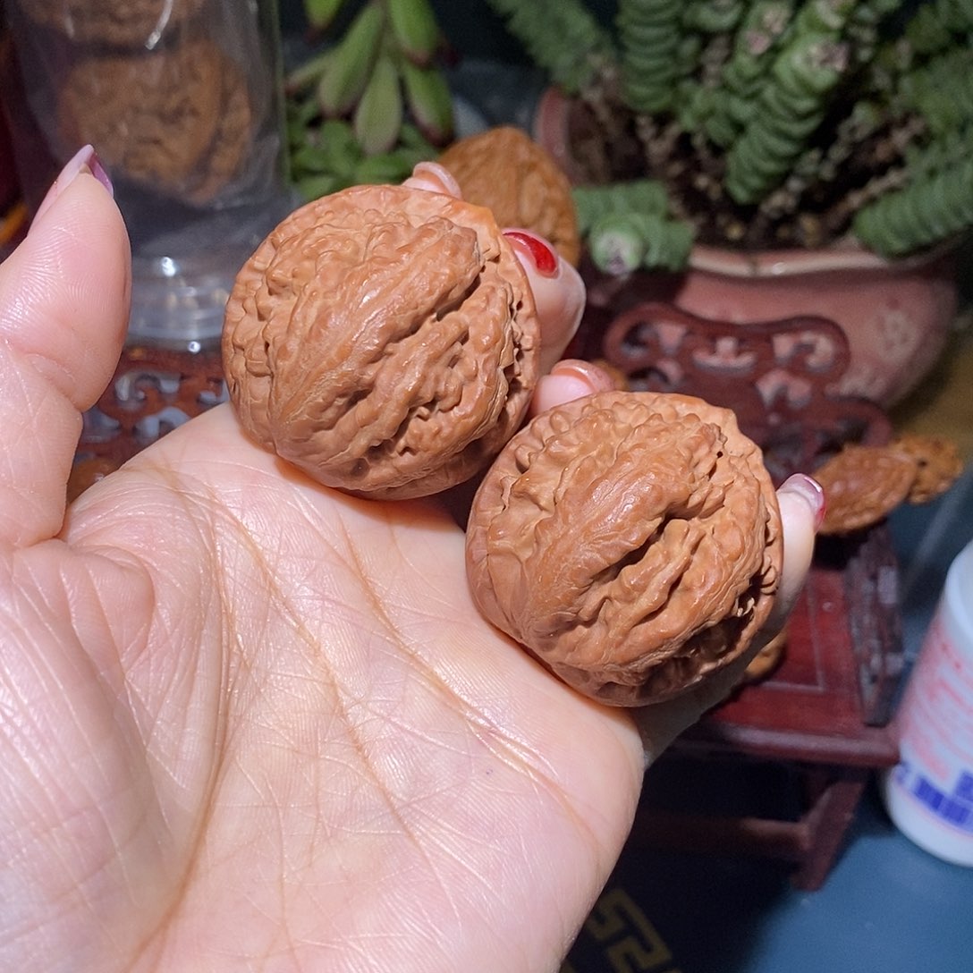 文玩核桃把件40霸王龙