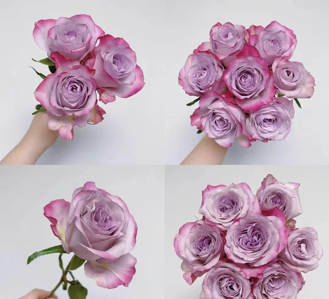 花花 气场玫瑰18支+2支防损 一单包邮两单升级快递 云南直发