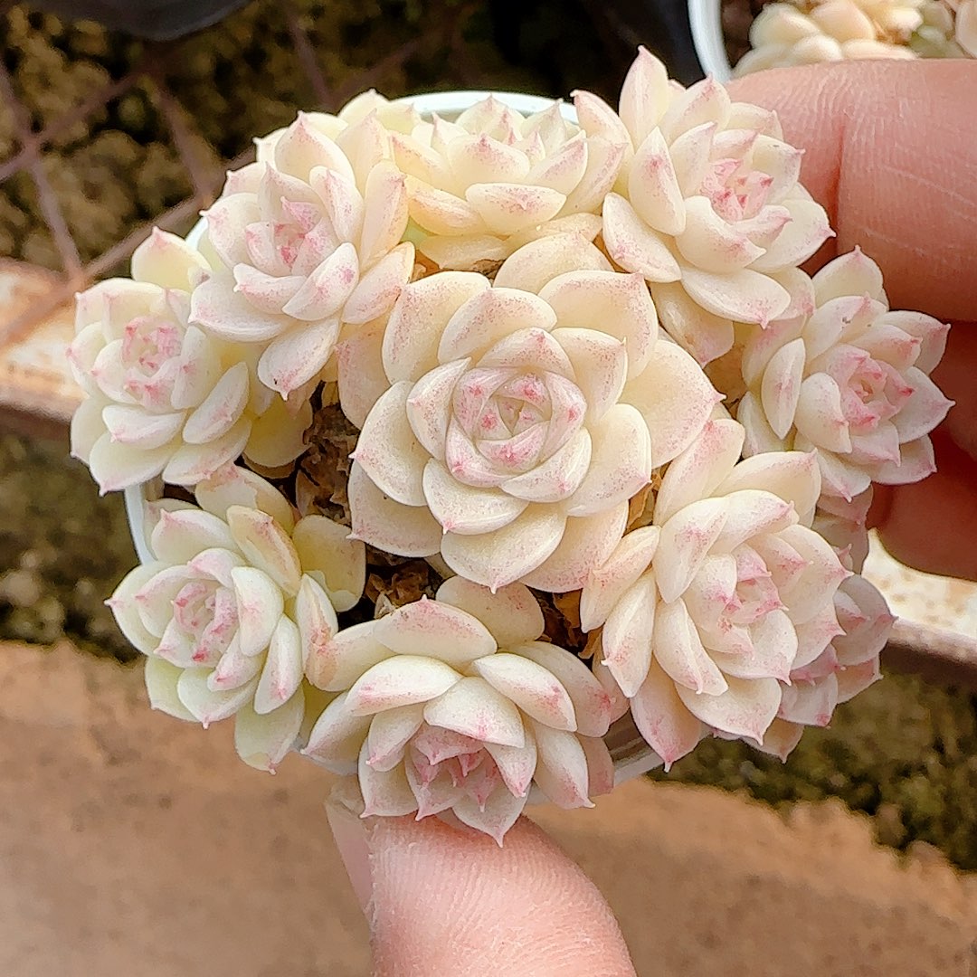 1212-17（ppt-40）优选