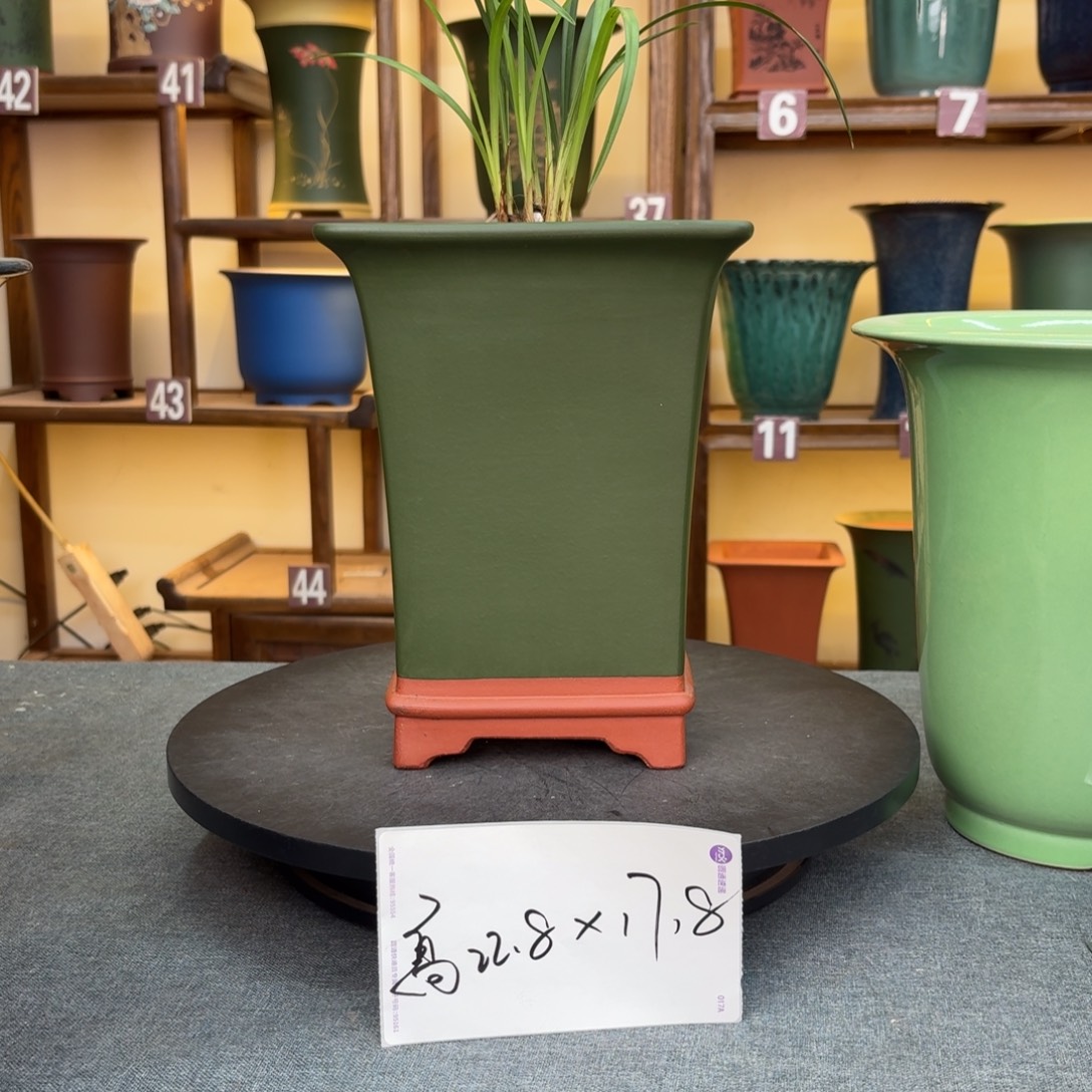 紫砂花盆兰花15586685681588