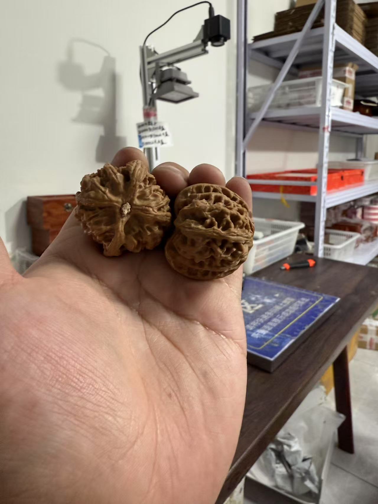 野生文玩核桃一对苹果园四座楼