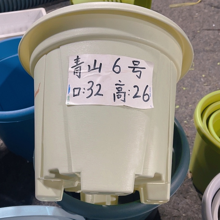 树脂青山6号32口径米色5个