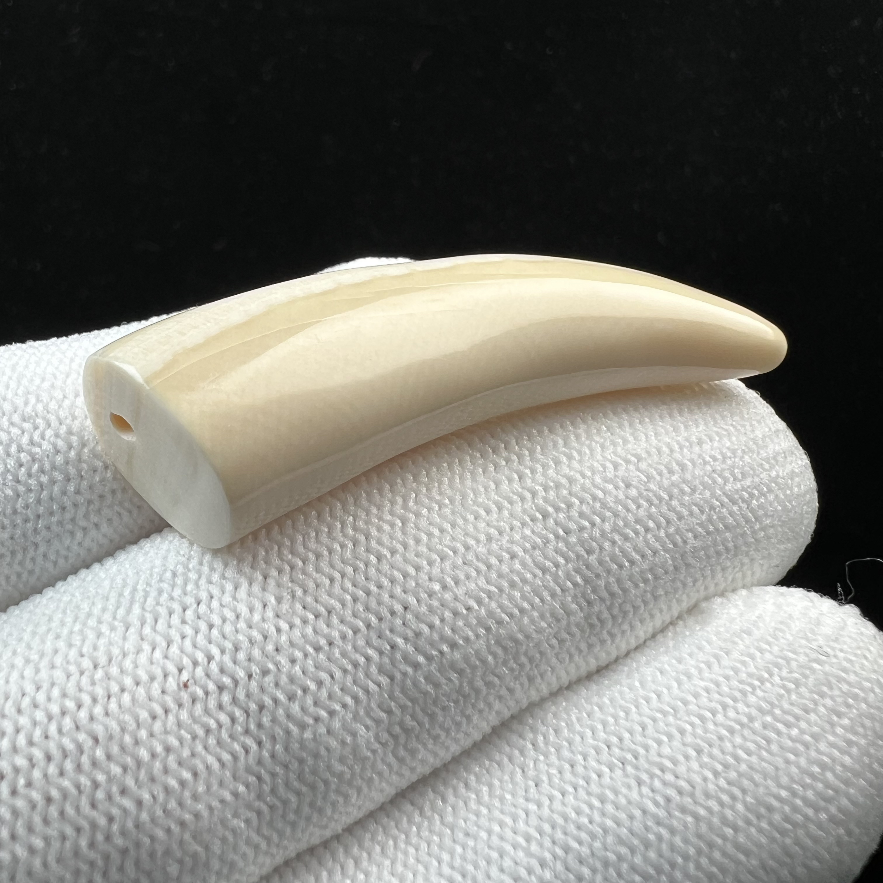 D4533天然猛犸牙 牙尖 48.3mm支持鉴定 假一罚四