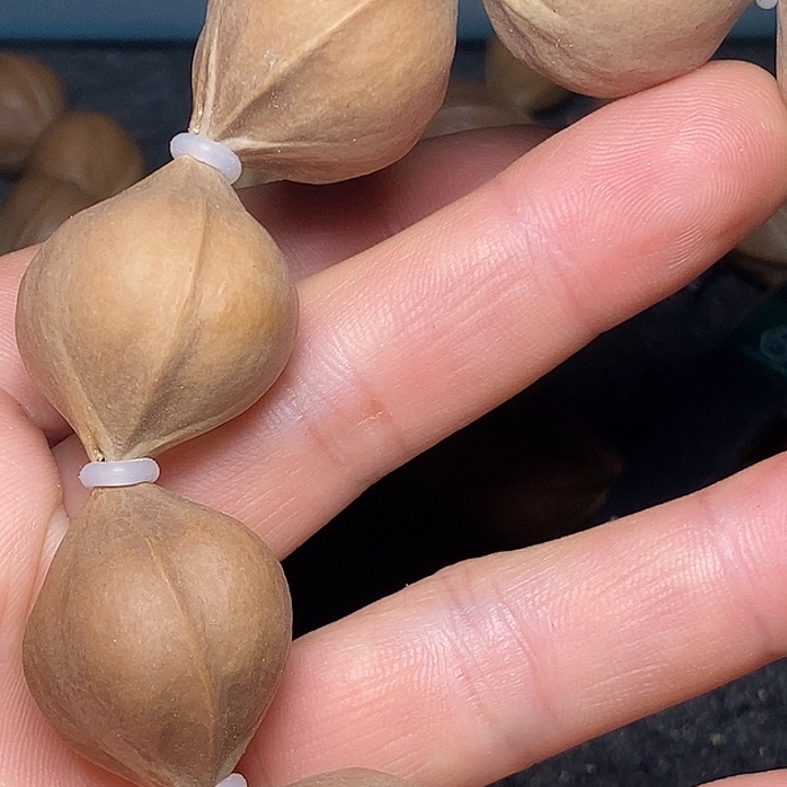 手串橄榄核2.3尺寸22号