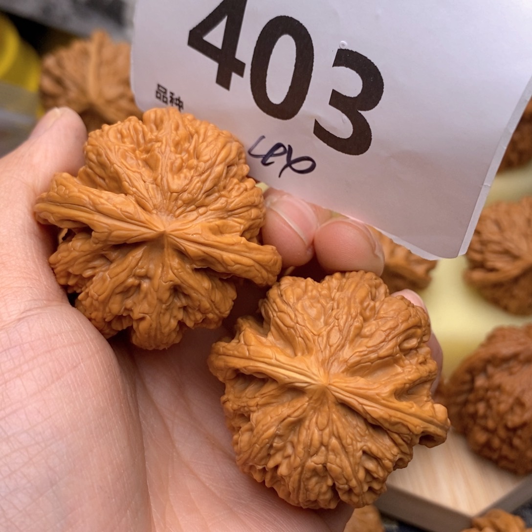 文玩核桃把件403高44粗筋