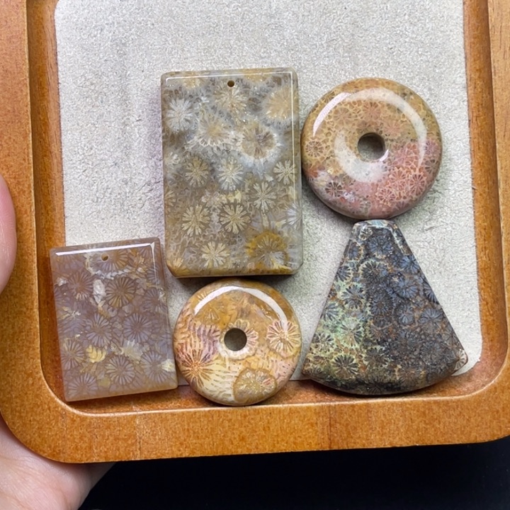 未镶嵌吊坠硅化珊瑚（珊瑚玉）