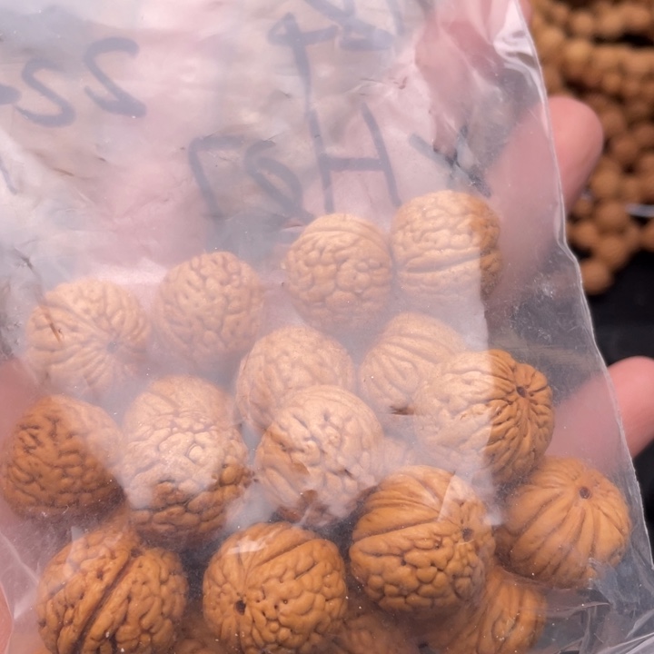 核桃手串/手链散发28元优惠活动