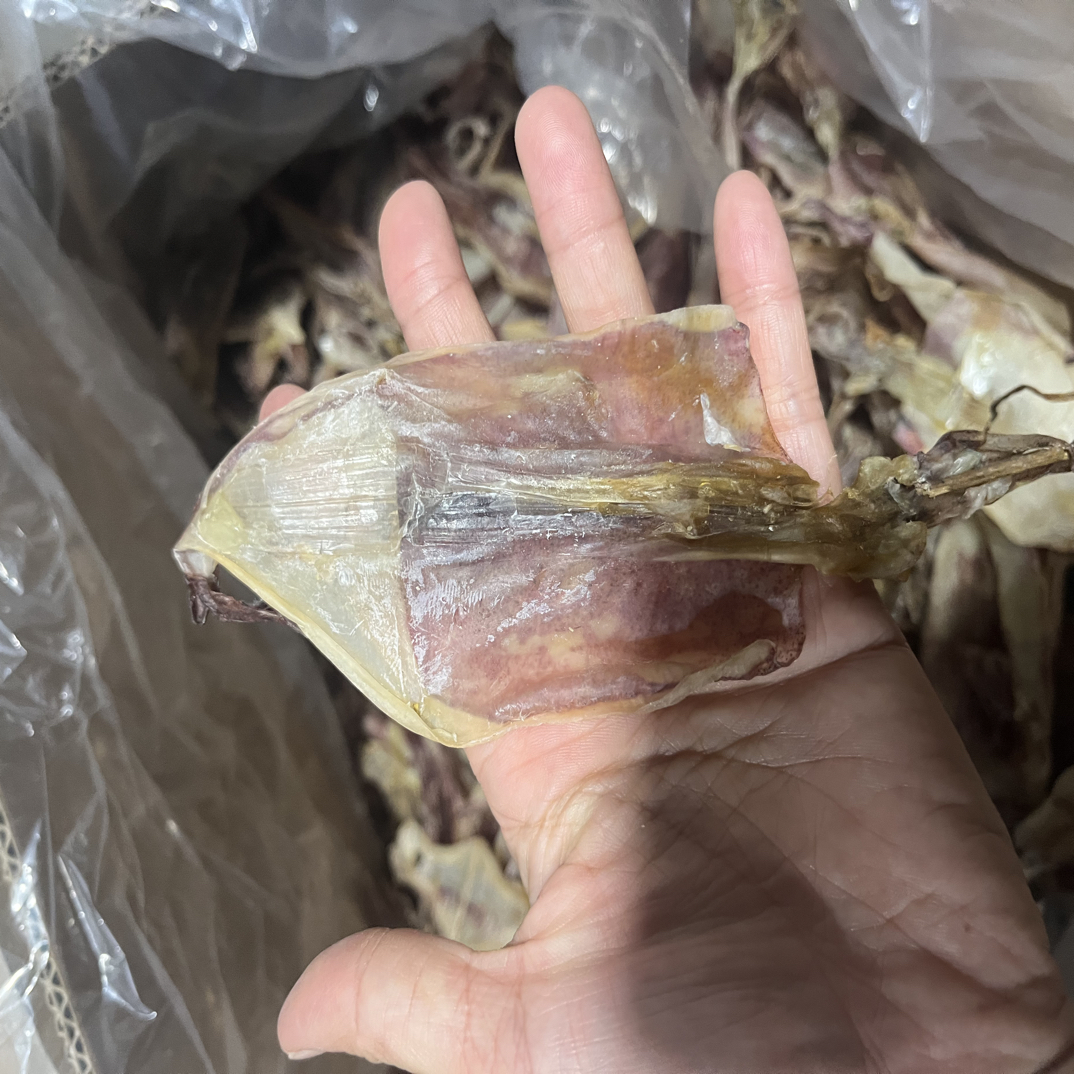 陆丰甲子捡漏鱿鱼干可煮粥，炒饭