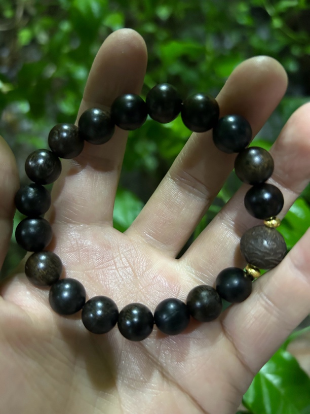 【土特产菇521】净含量10g