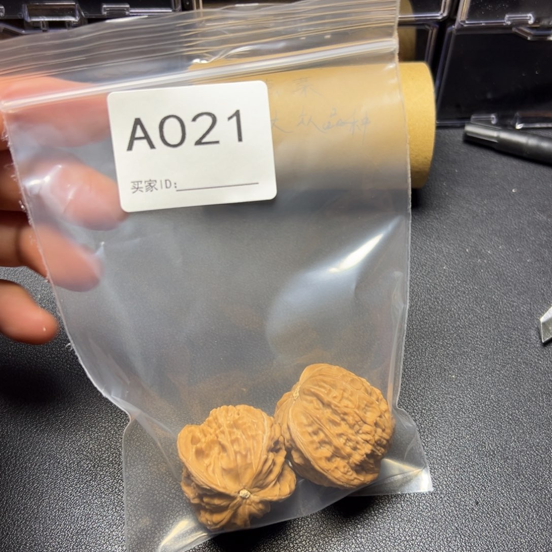 把件核桃哈哈哈哈